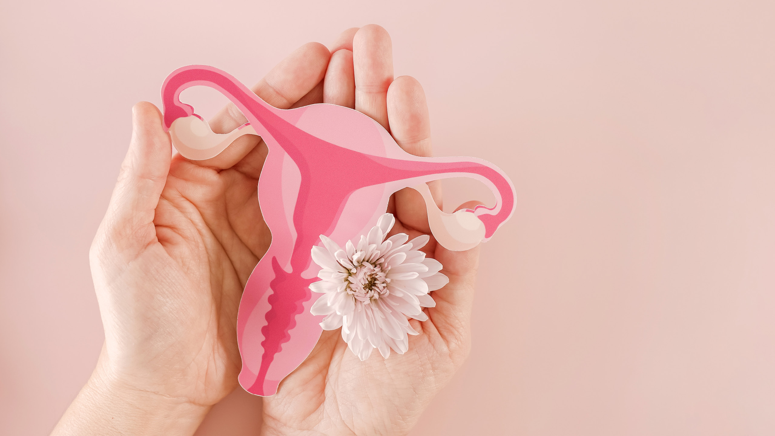 laser-co2-vaginale-salute-intima-femminile